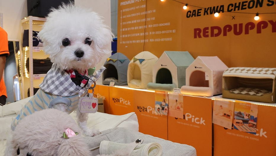 반려동물 행동지도사의 지도 대상 강아지