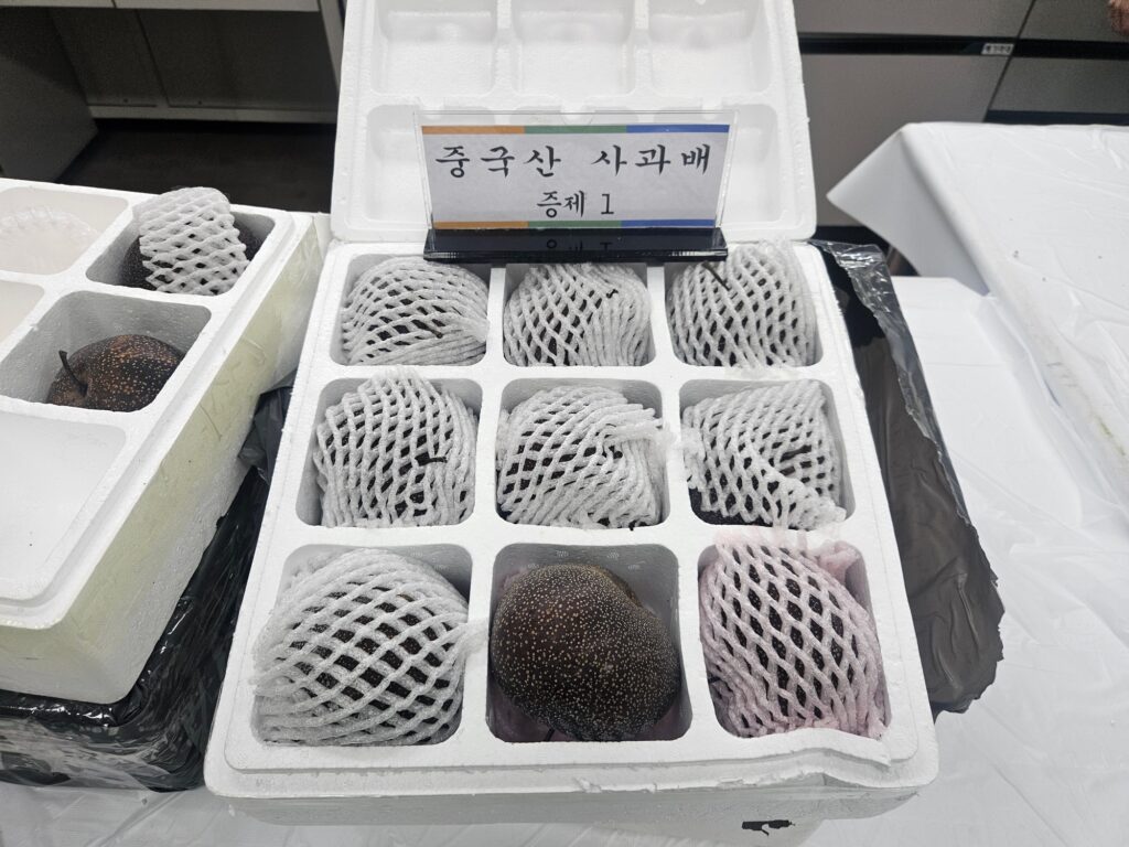 중국산 농산물과 묘목류를 대규모로 불법 수입한 조직이 적발됐다. 