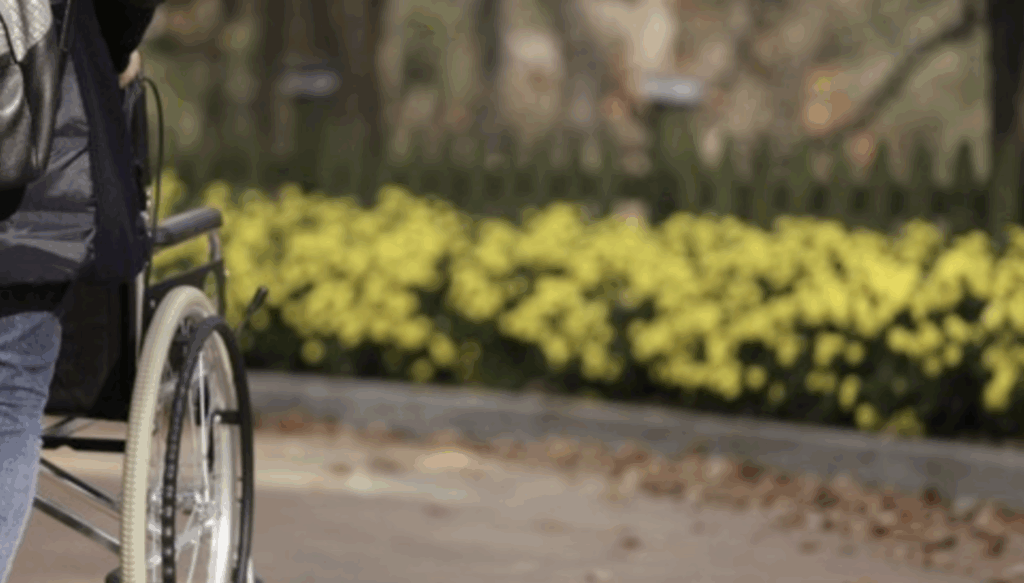 중증 장애인 월 최대 연금 인상