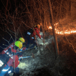 경상북도 경산시에서 발생한 산불의 원인이 운전 중 담뱃불 투기로 추정되면서, 산림 인접 지역에서의 부주의가 다시 도마 위에 올랐다.