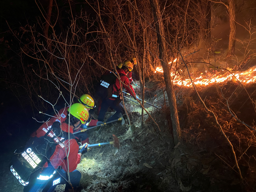 경상북도 경산시에서 발생한 산불의 원인이 운전 중 담뱃불 투기로 추정되면서, 산림 인접 지역에서의 부주의가 다시 도마 위에 올랐다.