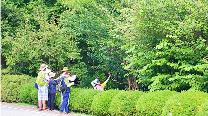 대한민국 산림과학 연구의 성지로 불리는 홍릉숲이 100년의 신비로운 베일을 벗고 국민 곁으로 한 걸음 더 다가섰다.